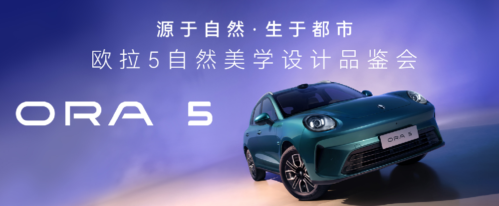 二十九號店-哈弗新能源、歐拉